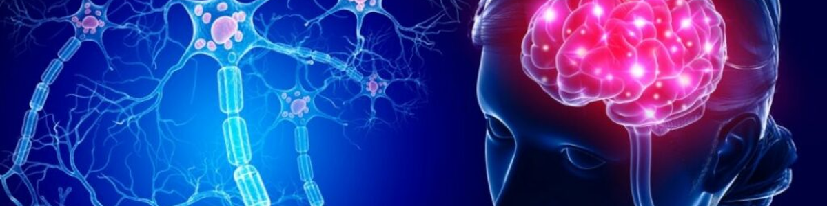 Cervical Control and Post-Stroke Rehabilitation: Making the Invisible ...