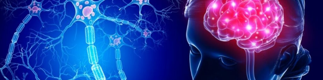 Cervical Control and Post-Stroke Rehabilitation: Making the Invisible Visible - HeadX