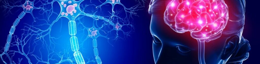 Cervical Control and Post-Stroke Rehabilitation: Making the Invisible Visible - HeadX