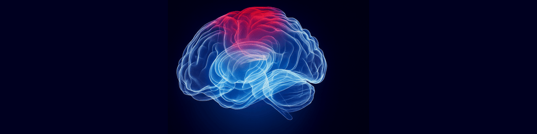 Concussion Impairments and Rehabilitation: A Guide for Recovery - HeadX