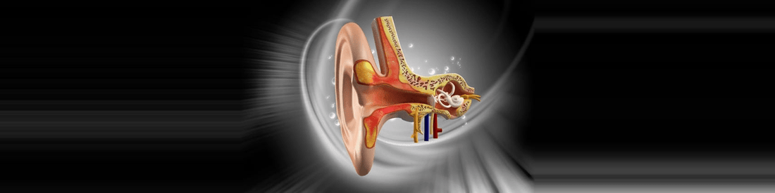 Understanding Vestibular Disorders and Dizziness: Causes, Symptoms, and Rehabilitation - HeadX