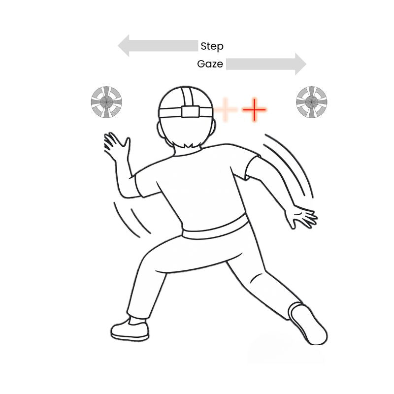 Position illustration: Gaze–Step–Switch